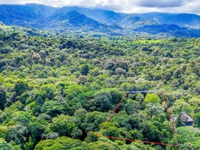 Lote en la selva con borde de río – Camine hasta Plaza Ventanas, Ojochal, photo 4