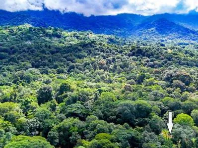 Lote en la selva con borde de río – Camine hasta Plaza Ventanas, Ojochal, photo 5