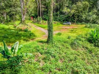 Lote en la selva con borde de río – Camine hasta Plaza Ventanas, Ojochal, photo 6