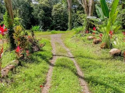 Lote en la selva con borde de río – Camine hasta Plaza Ventanas, Ojochal, photo 7