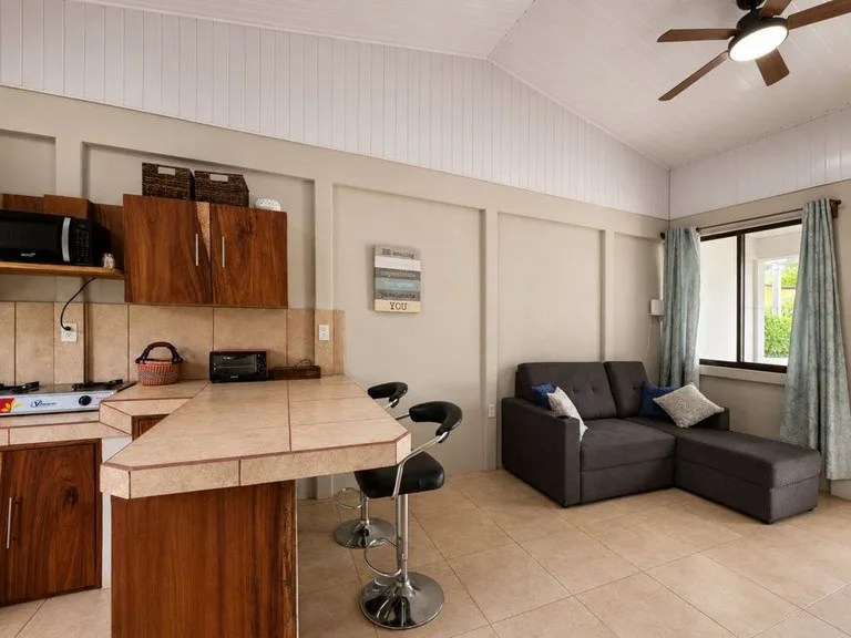 House in Playa Samara, photo 11