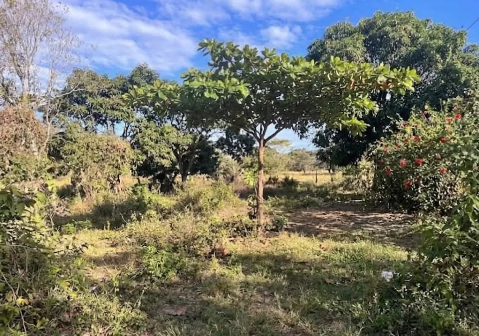 Lote en Venta en Playa Negra, Guanacaste – Lot for Sale in Playa Negra, Guanacaste – US$50,000