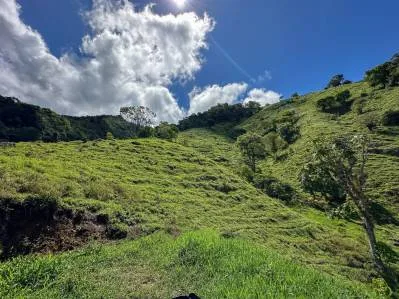 Paraíso fuera de la red en Pueblo Nuevo, Rivas: cascada, bosque y vistas, photo 3