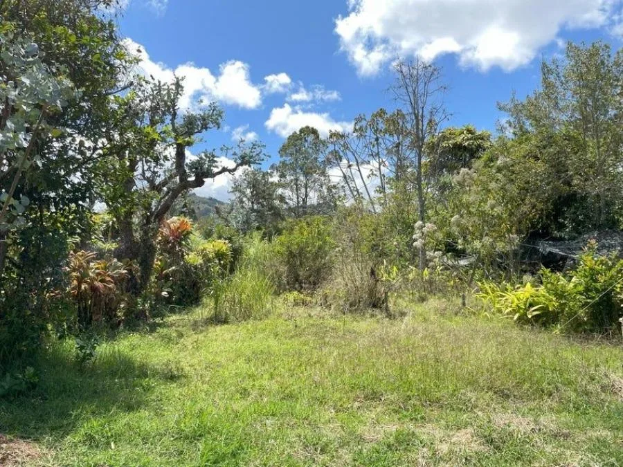 venta de lote en cartago el guarco - Venta en El Guarco