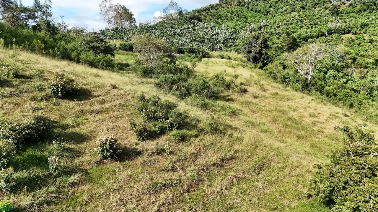 Lot Brisas del Sur, Platanares, San Jose 11906
