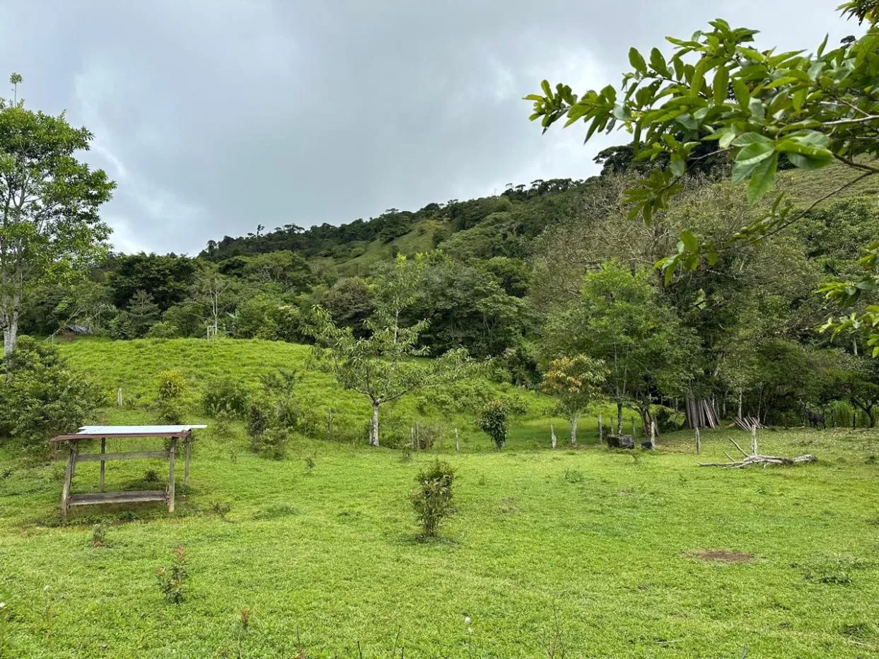 Epic Mountain For Sale With Mind-blowing Views Perez Zeledon Costa Rica, photo 11