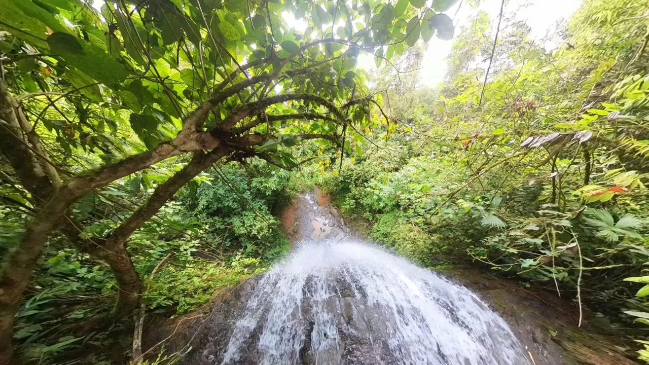 Epic Mountain For Sale With Mind-blowing Views Perez Zeledon Costa Rica, photo 12