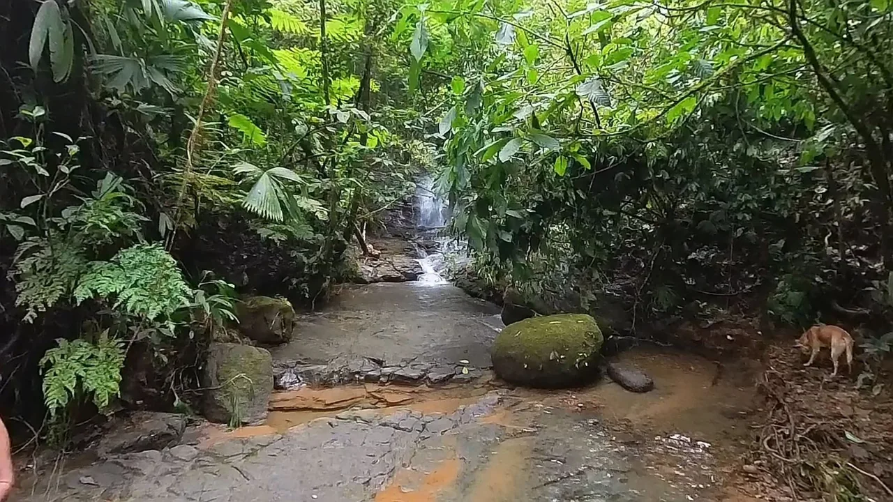 Epic Mountain For Sale With Mind-blowing Views Perez Zeledon Costa Rica, photo 13