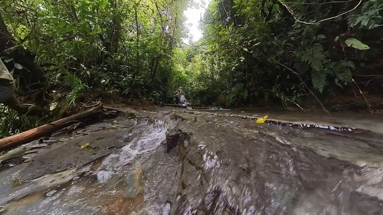 Epic Mountain For Sale With Mind-blowing Views Perez Zeledon Costa Rica, photo 14