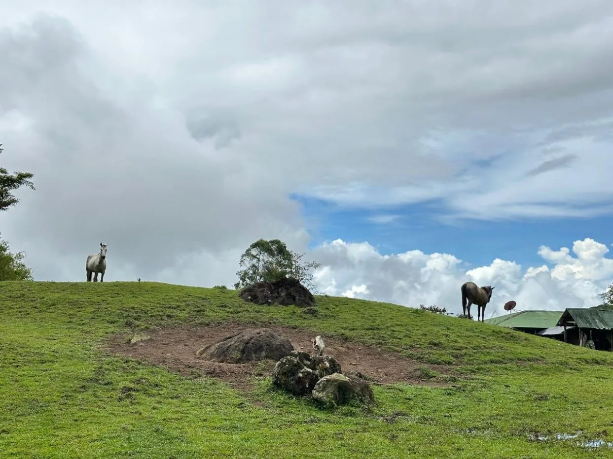 Epic Mountain For Sale With Mind-blowing Views Perez Zeledon Costa Rica, photo 7
