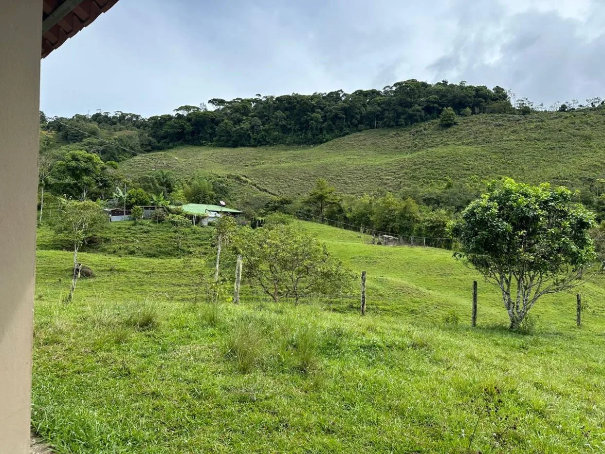 Epic Mountain For Sale With Mind-blowing Views Perez Zeledon Costa Rica, photo 8