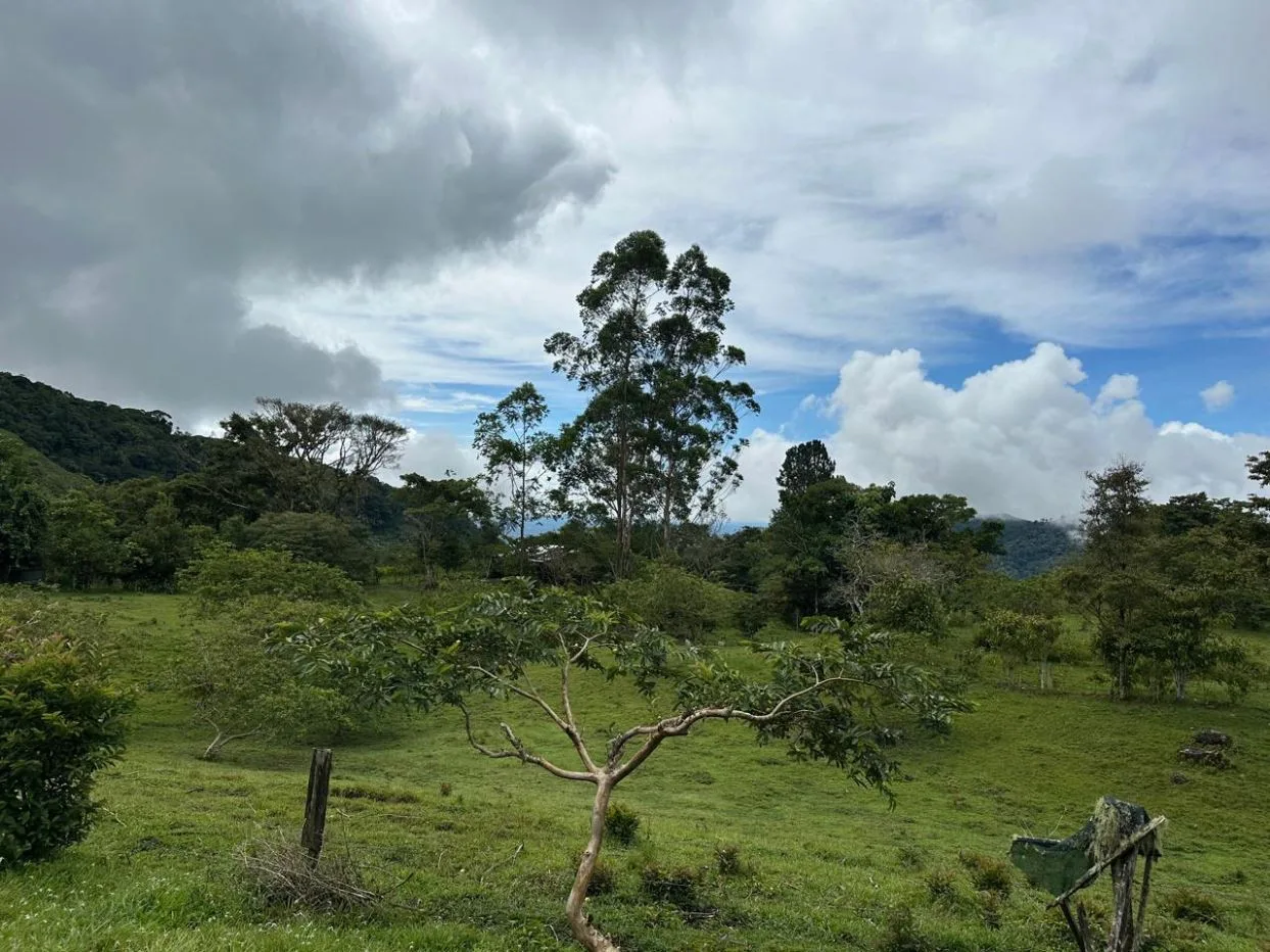 Epic Mountain For Sale With Mind-blowing Views Perez Zeledon Costa Rica, photo 10