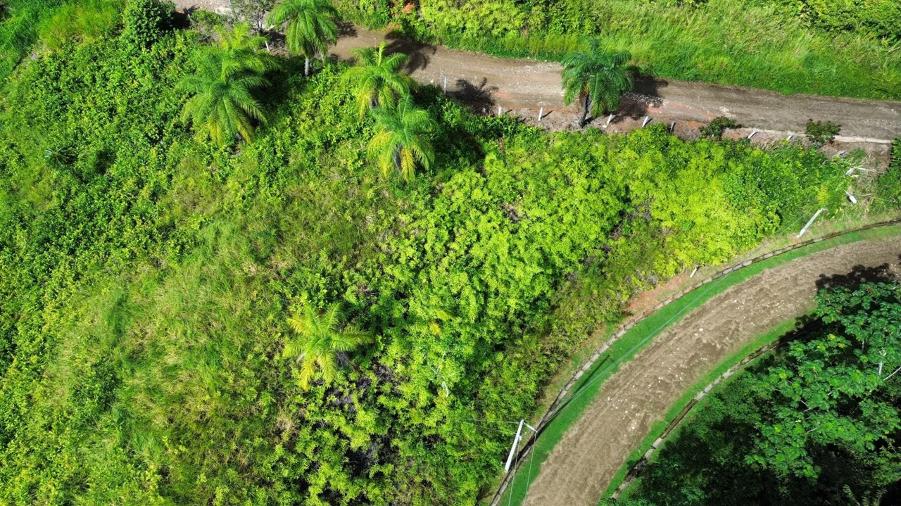 BUILDING PROPERTY IN A GATED COMMUNITY, IN CHONTALES – 0.31 ACRES, photo 11