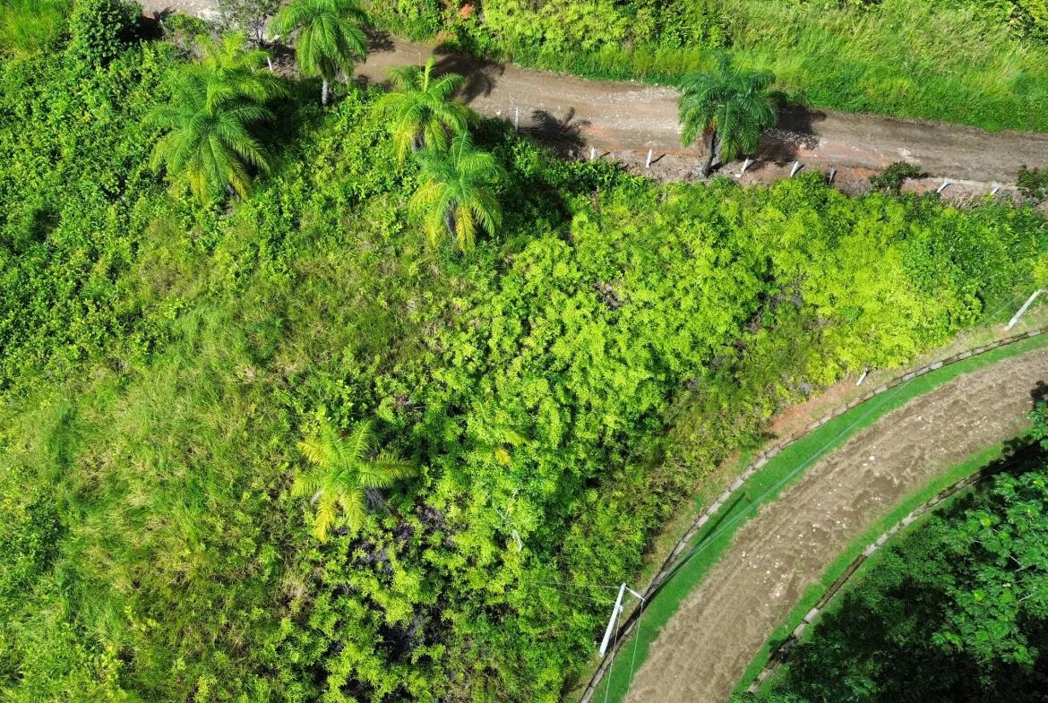 BUILDING PROPERTY IN A GATED COMMUNITY, IN CHONTALES – 0.31 ACRES, photo 12