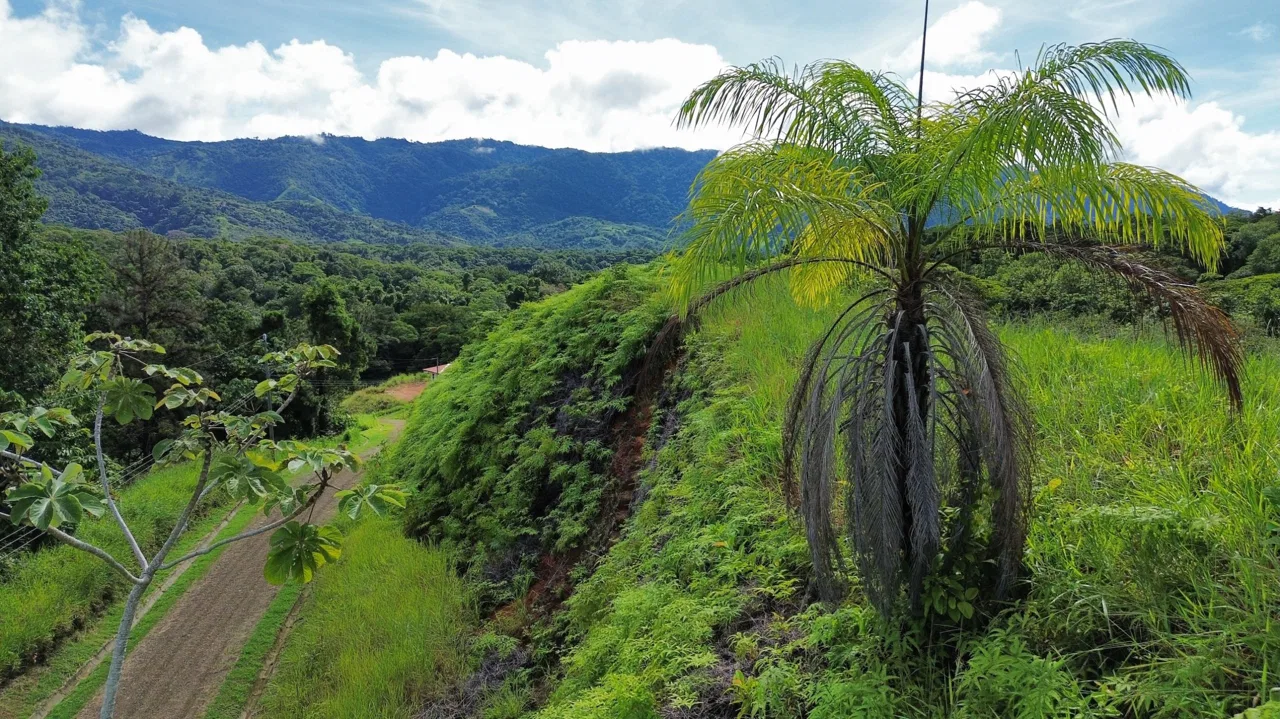 BUILDING PROPERTY IN A GATED COMMUNITY, IN CHONTALES – 0.31 ACRES, photo 3