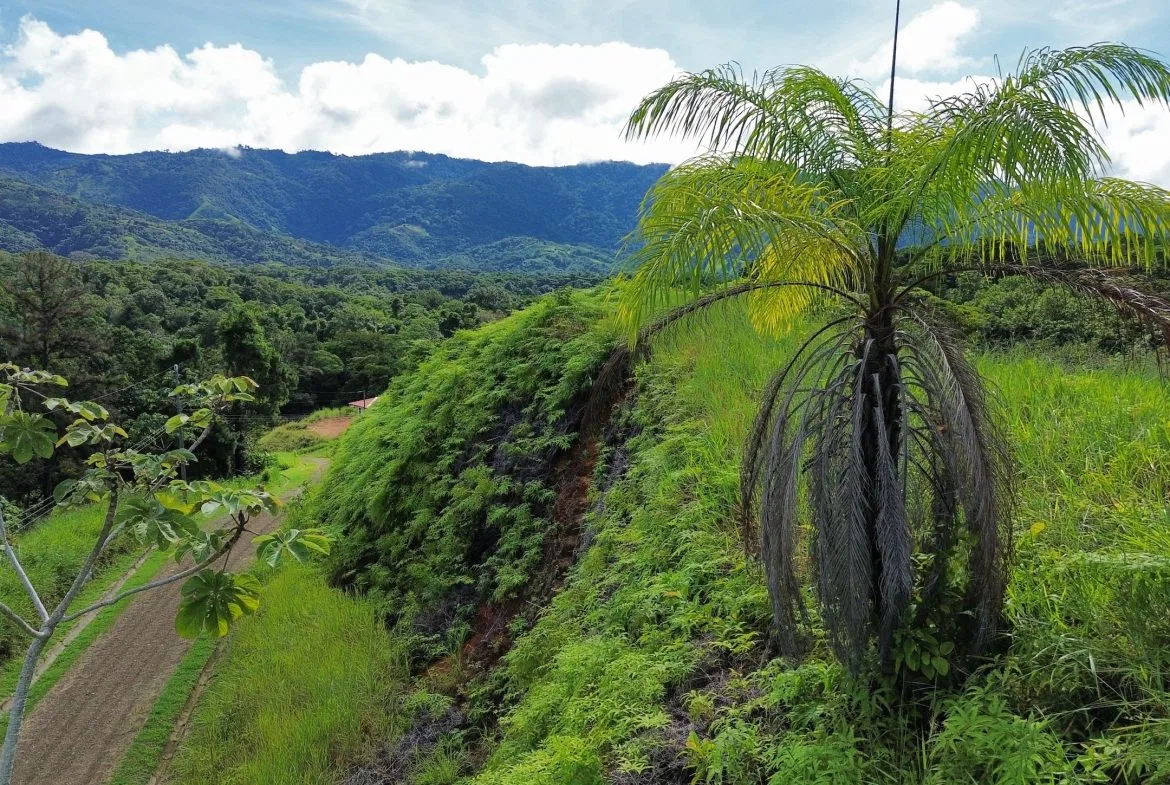 BUILDING PROPERTY IN A GATED COMMUNITY, IN CHONTALES – 0.31 ACRES, photo 4