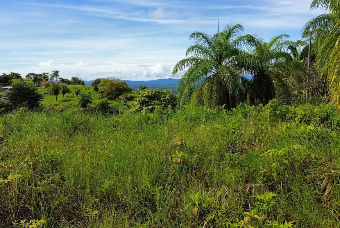 BUILDING PROPERTY IN A GATED COMMUNITY, IN CHONTALES – 0.31 ACRES, photo 8