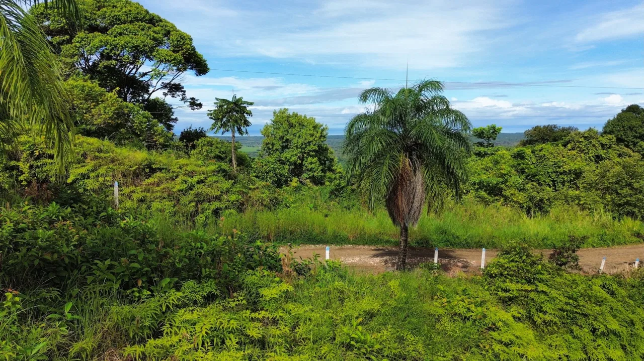 BUILDING PROPERTY IN A GATED COMMUNITY, IN CHONTALES – 0.31 ACRES, photo 9