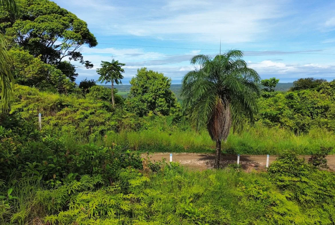BUILDING PROPERTY IN A GATED COMMUNITY, IN CHONTALES – 0.31 ACRES, photo 10