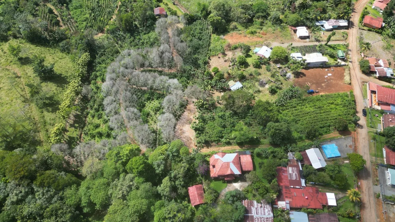 This Is The Lot (3 acres) For Sale In Santa Elena Del General, San Jose, You Are Looking For!!, photo 8