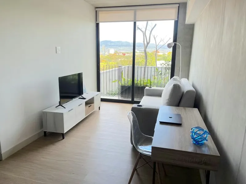 Furnished Condo for Rent with Panoramic Views in Rohrmoser ID27410
