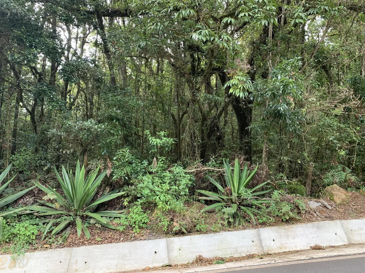 Lote en Venta en Jardin ,Dota, photo 5