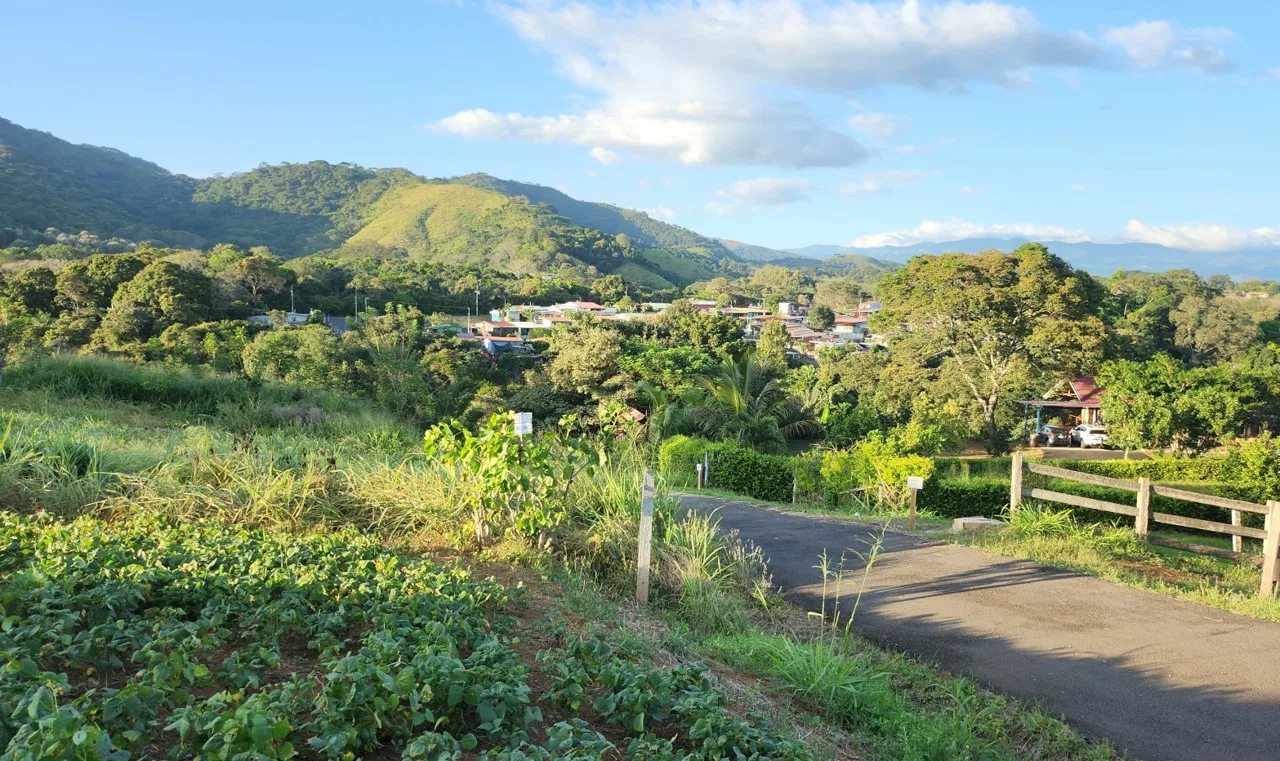 100% usable lot with views of the valley and mountains – 400052042108, photo 2
