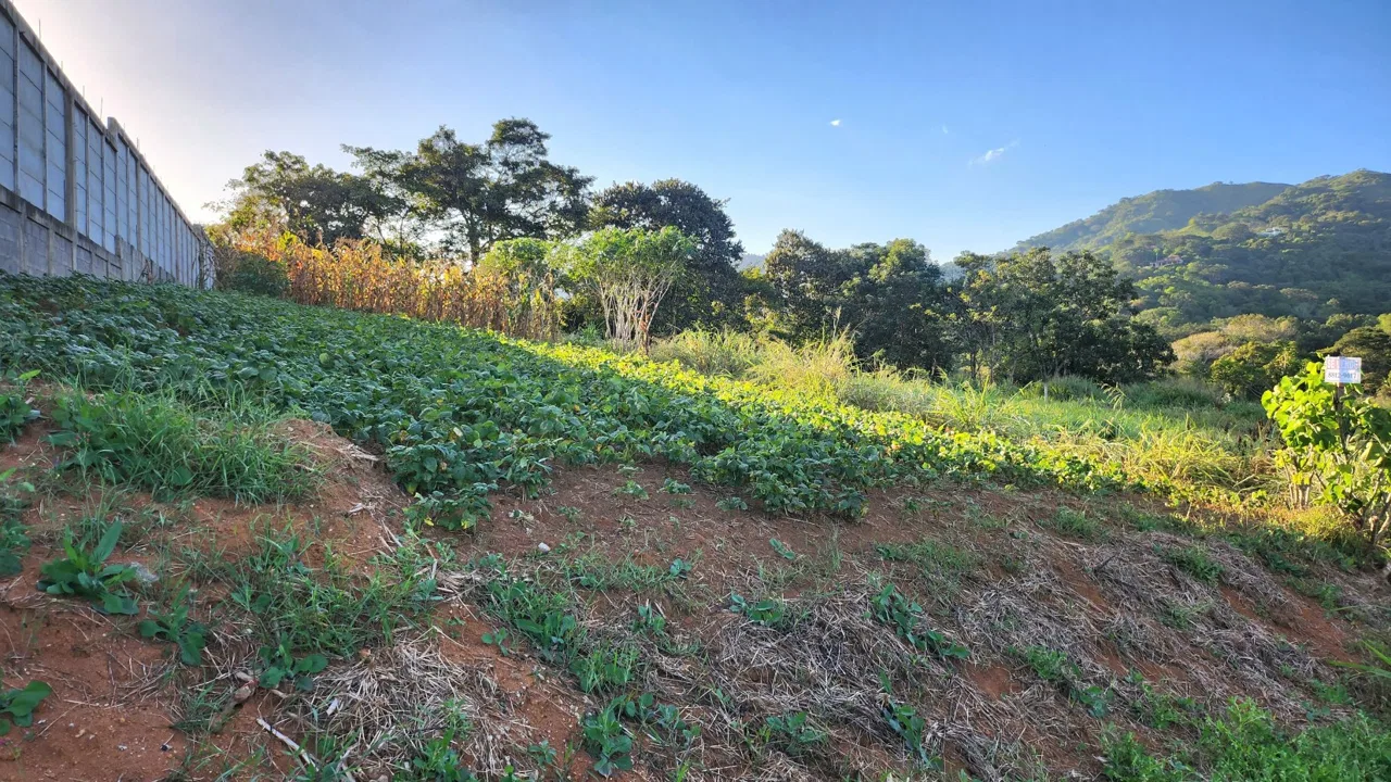 100% usable lot with views of the valley and mountains – 400052042108, photo 4
