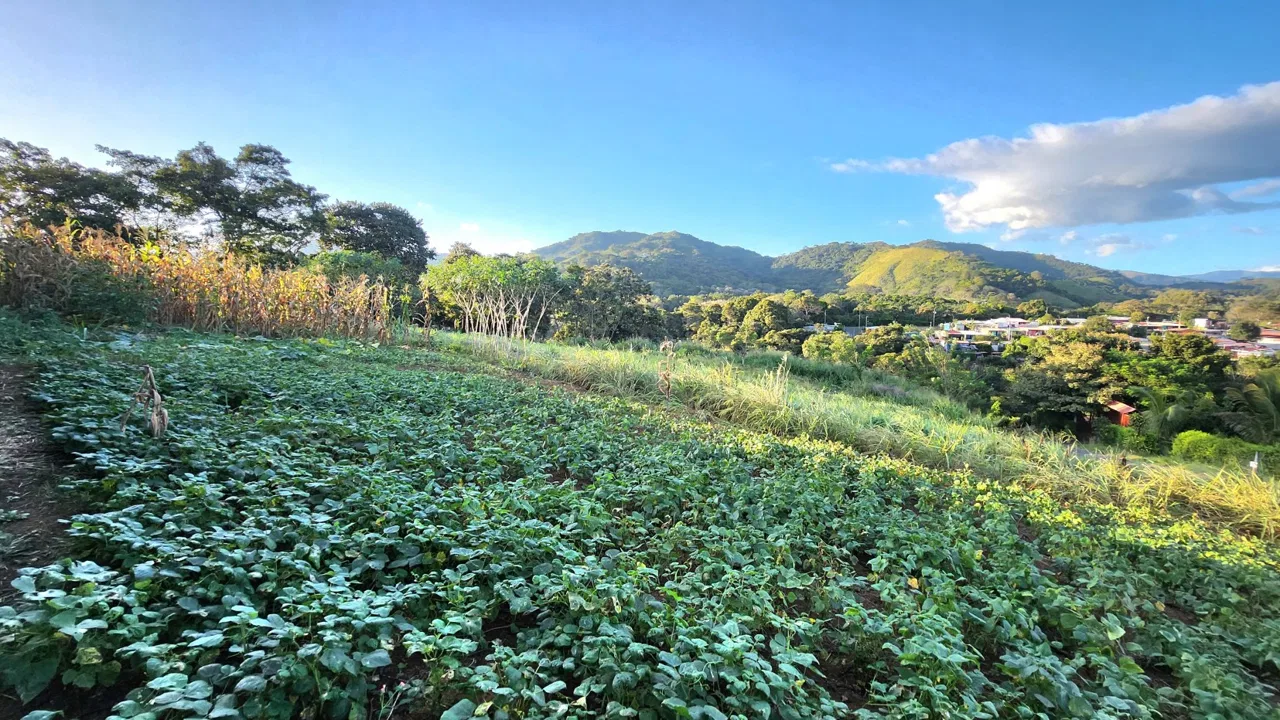 100% usable lot with views of the valley and mountains – 400052042108, photo 7