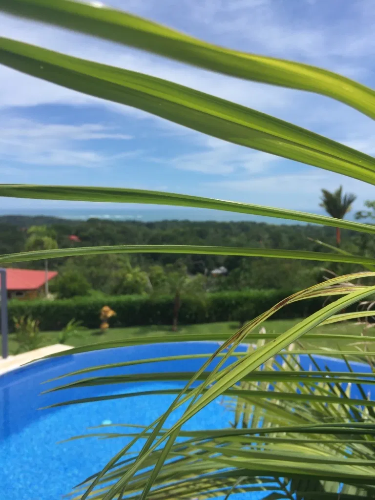 Villa and Studio Apartment in Uvita, photo 14