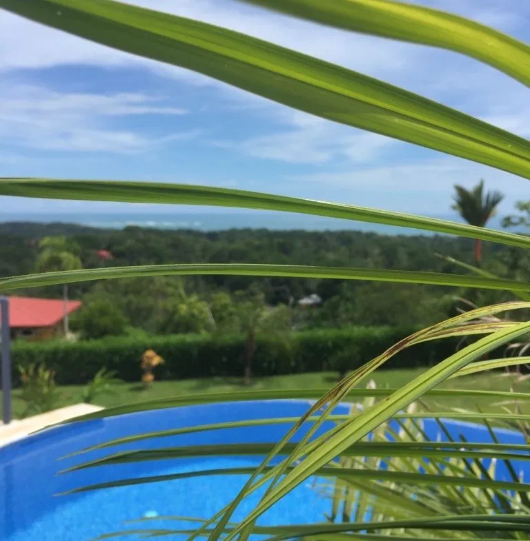 Villa and Studio Apartment in Uvita, photo 15