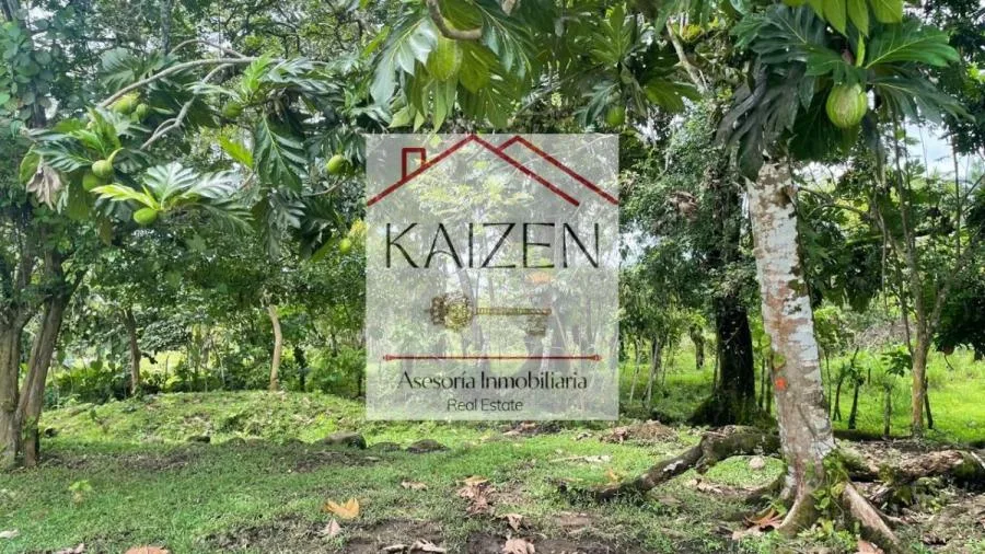 LOTE EN VENTA EN LAS MERCEDES DE CAJÓN, PÉREZ ZELEDÓN – 10,718 m² CON VISTA Y ÁRBOLES FRUTALES - Venta en Perez Zeledón, photo 6