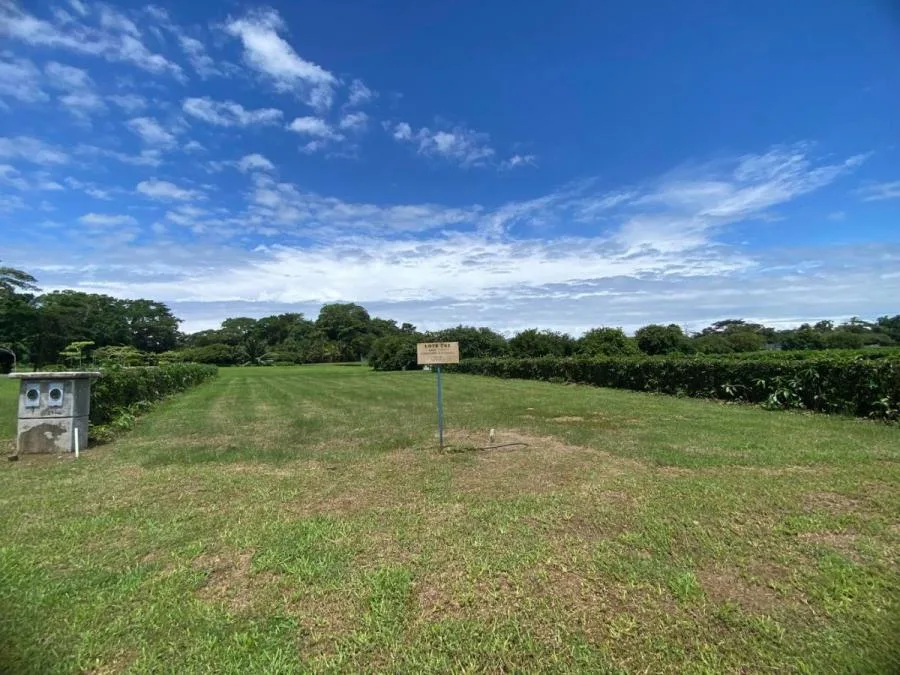 LOTE EN VENTA EN LAS MERCEDES DE CAJÓN, PÉREZ ZELEDÓN – 10,718 m² CON VISTA Y ÁRBOLES FRUTALES - Venta en Perez Zeledón, photo 9