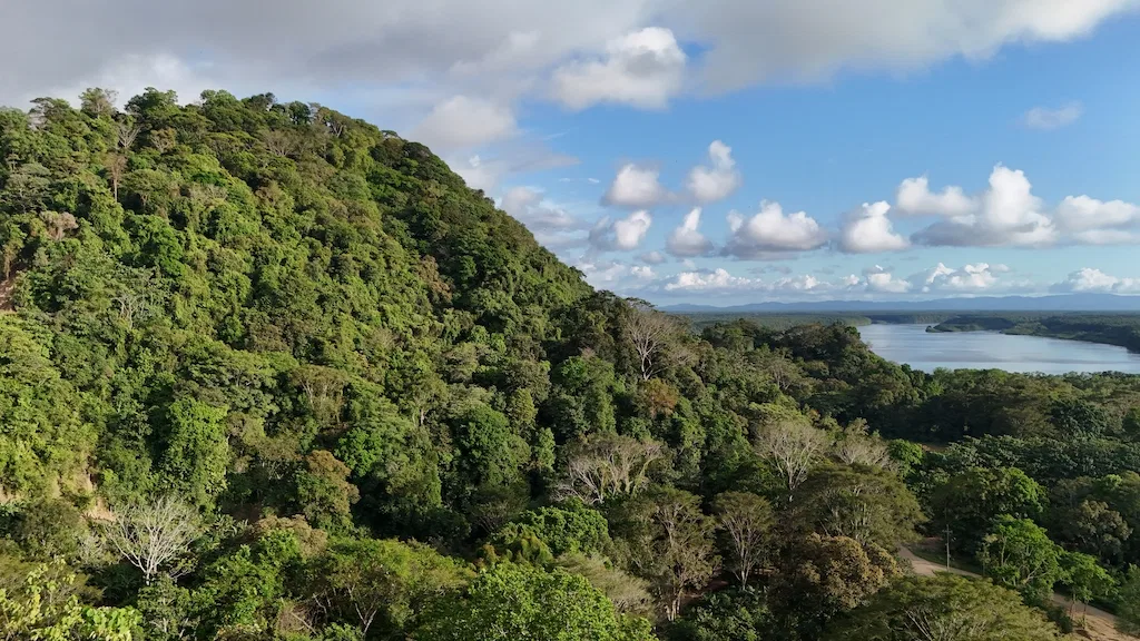 Ocean and Mountain View Property on 5 Acres, photo 12