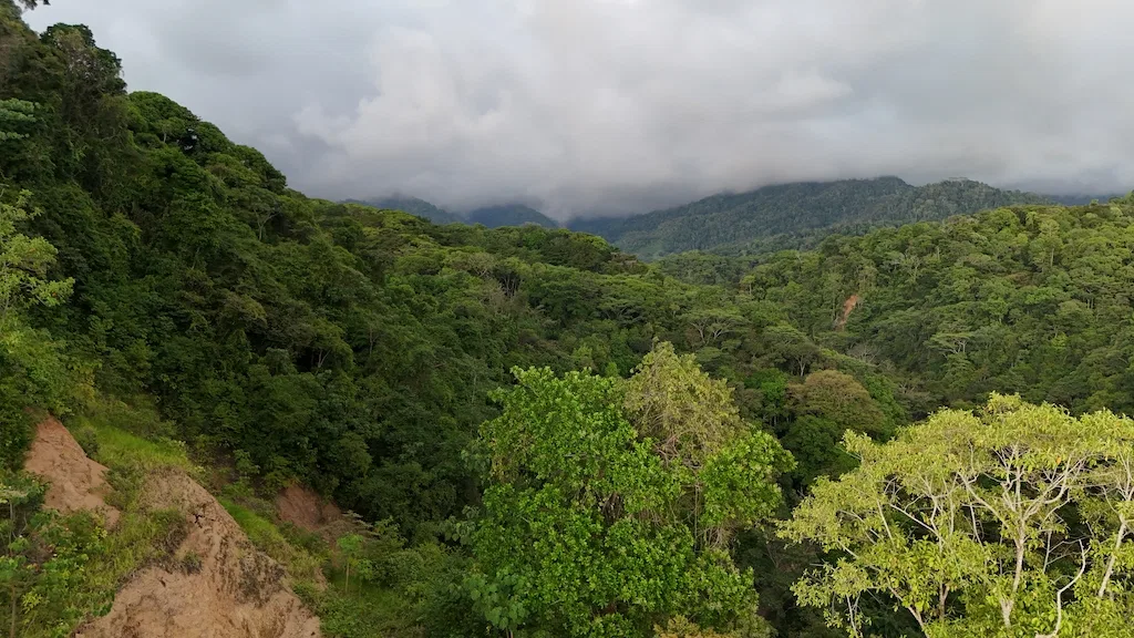Ocean and Mountain View Property on 5 Acres, photo 23