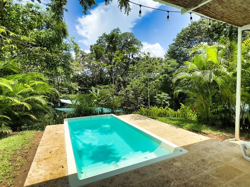 3 Bed Single Family Homes For Sale in Puerto Viejo, photo 5