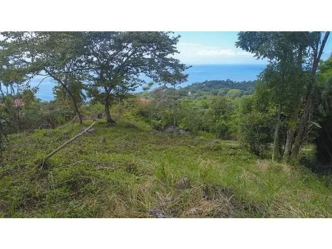 Land for Sale in Osa, Puntarenas for $209,000