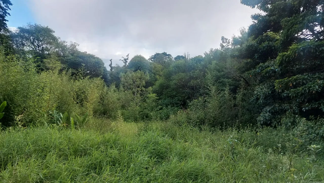 Lot for Sale in San Rafael de Heredia – El Castillo Residential Community