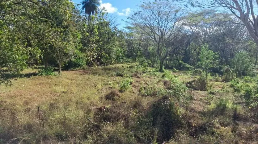 Land for Sale in Brasilito, photo 2