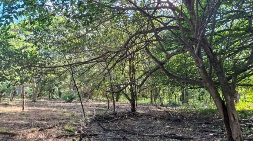 Land for Sale in Brasilito, photo 5