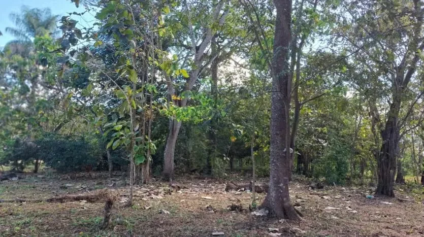 Land for Sale in Brasilito, photo 6
