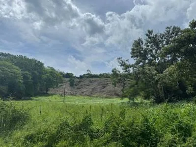 Terreno de 1-Hectárea para desarrollo en Jacó Beach | Oportunidad de inversión estratégica