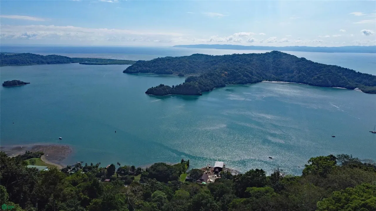 Cerro Adams, Golfito, Puntarenas 60701