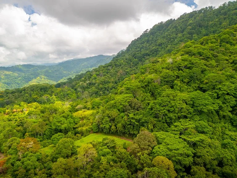 BUILDING MOUNTAIN PROPERTY WITH MOUNTAINS VIEWS, IN TRES RIOS – 9.11 ACRES, photo 28