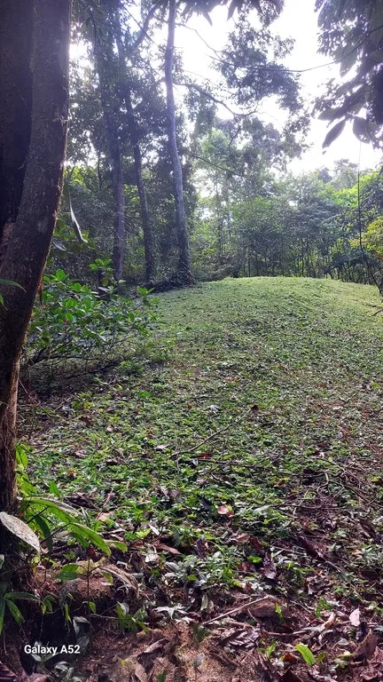 BUILDING MOUNTAIN PROPERTY WITH MOUNTAINS VIEWS, IN TRES RIOS – 9.11 ACRES, photo 25