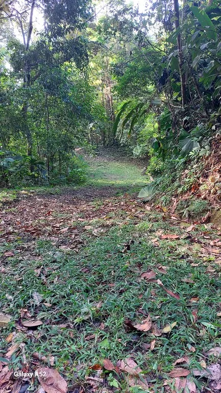 BUILDING MOUNTAIN PROPERTY WITH MOUNTAINS VIEWS, IN TRES RIOS – 9.11 ACRES, photo 26