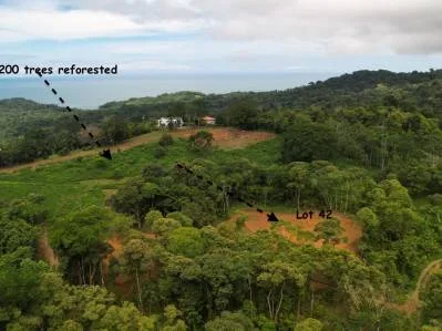Caracara Ridge, Mountain Views, 1.76 acres READY TO BUILD, photo 4