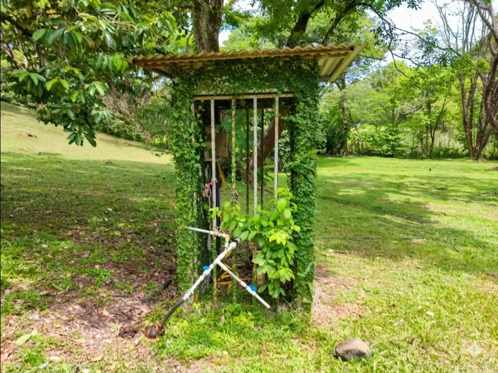 Descubra una propiedad donde la naturaleza ya hizo el trabajo que normalmente toma años. Agua propia, árboles consolidados y una cabina lista para disfrutar convierten esta quinta en ..., photo 8