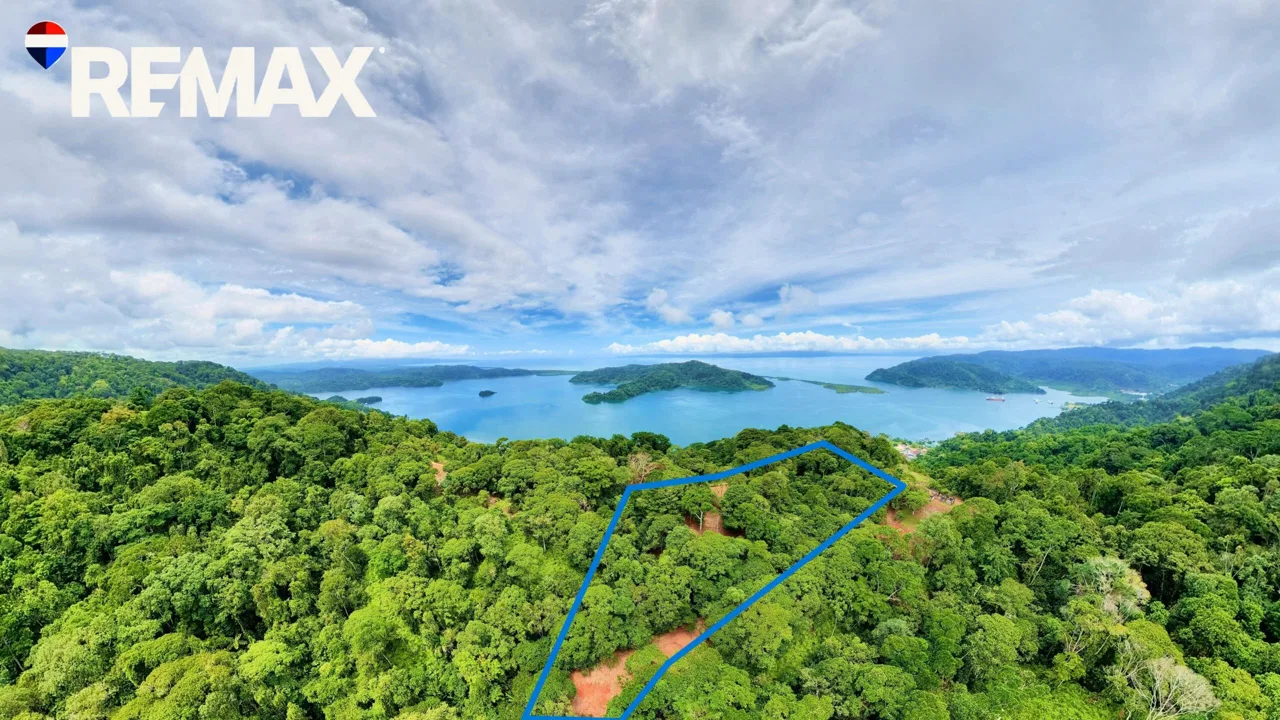 Golfito Bay View Land for Sale – 1.3 Hectares with Buildable flat area, Titled Property – $250,000 - REMAX Jungle Properties | Pavones Golfito Real Estate