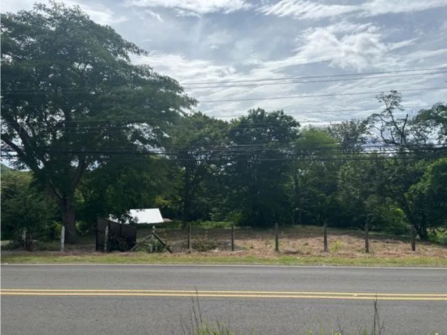 Lote en Venta, Playa Hermosa, Guanacaste, sobre Carretera 5PDN9285576 - Venta en Carrillo